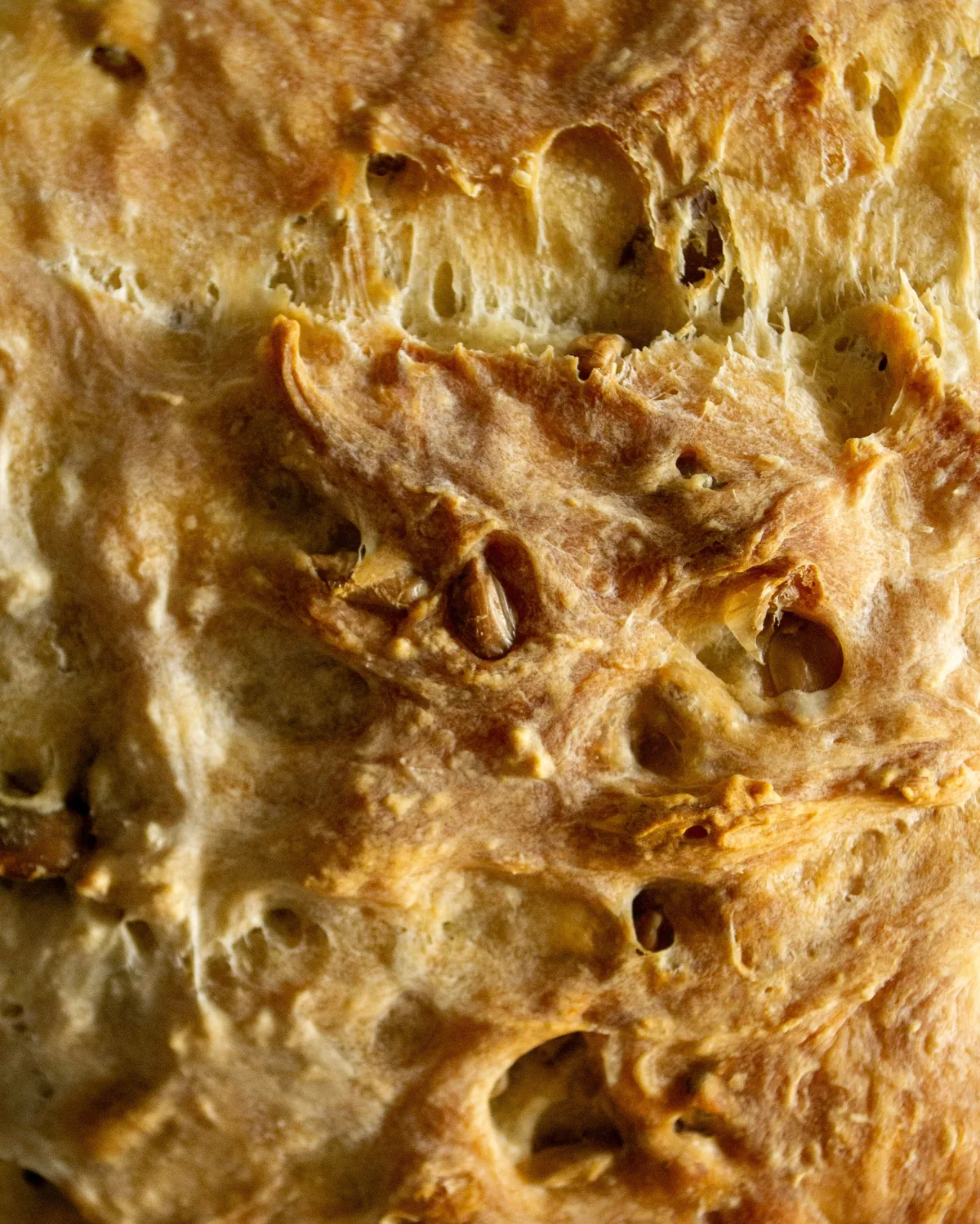 Primo piano della crosta scura e croccante del Pane di Matera IGP